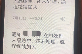 网贷欠多久开始催收：揭秘催收流程与应对策略