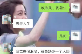 法院执行帮你讨债难：揭秘债务追收过程中的挑战与应对策略